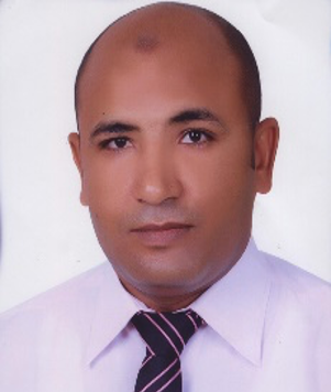 A. Professor Mohamed Abdelkader, Egyptian Atomic Energy Authority Photo
